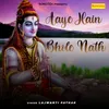 About Aaye Hain Bhole Nath Song